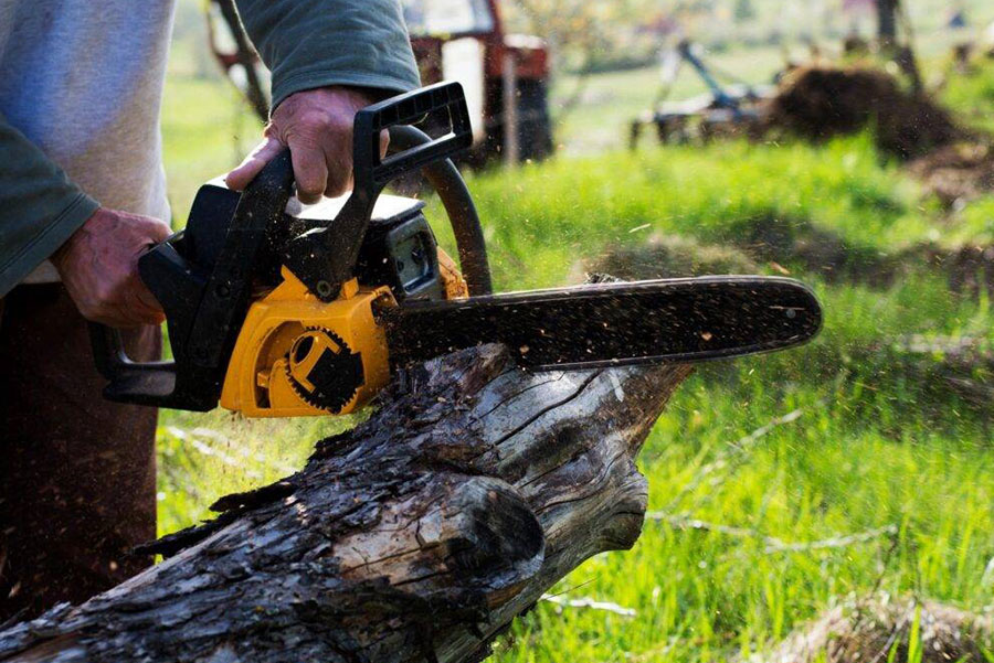 Tree Surgeon Bradford