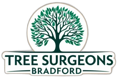 Tree Surgeon Bradford
